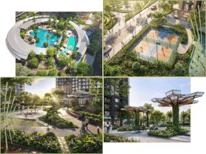 imperia sensaparrk